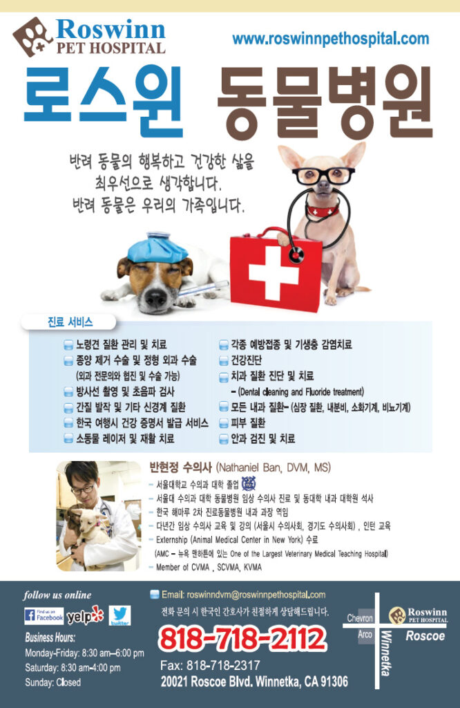 미드밸리 동물병원 (Han Teak Oh .) | Mid Valley Veterinary Hospital - 밸리매거진  밸리업소록